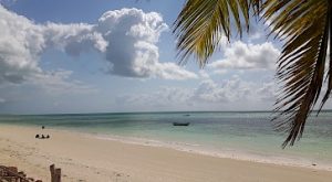 10 Day Uganda Gorillas and Zanzibar Beach MID RANGE Safari