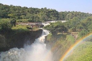 9 Day- Dream of Uganda and Rwanda Luxus Safari