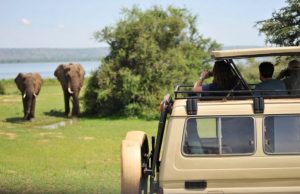 Urlaub in Uganda: Die Perle Afrikas | Blickpunkt-Afrika