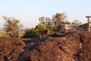 Kidepo Valley National Park