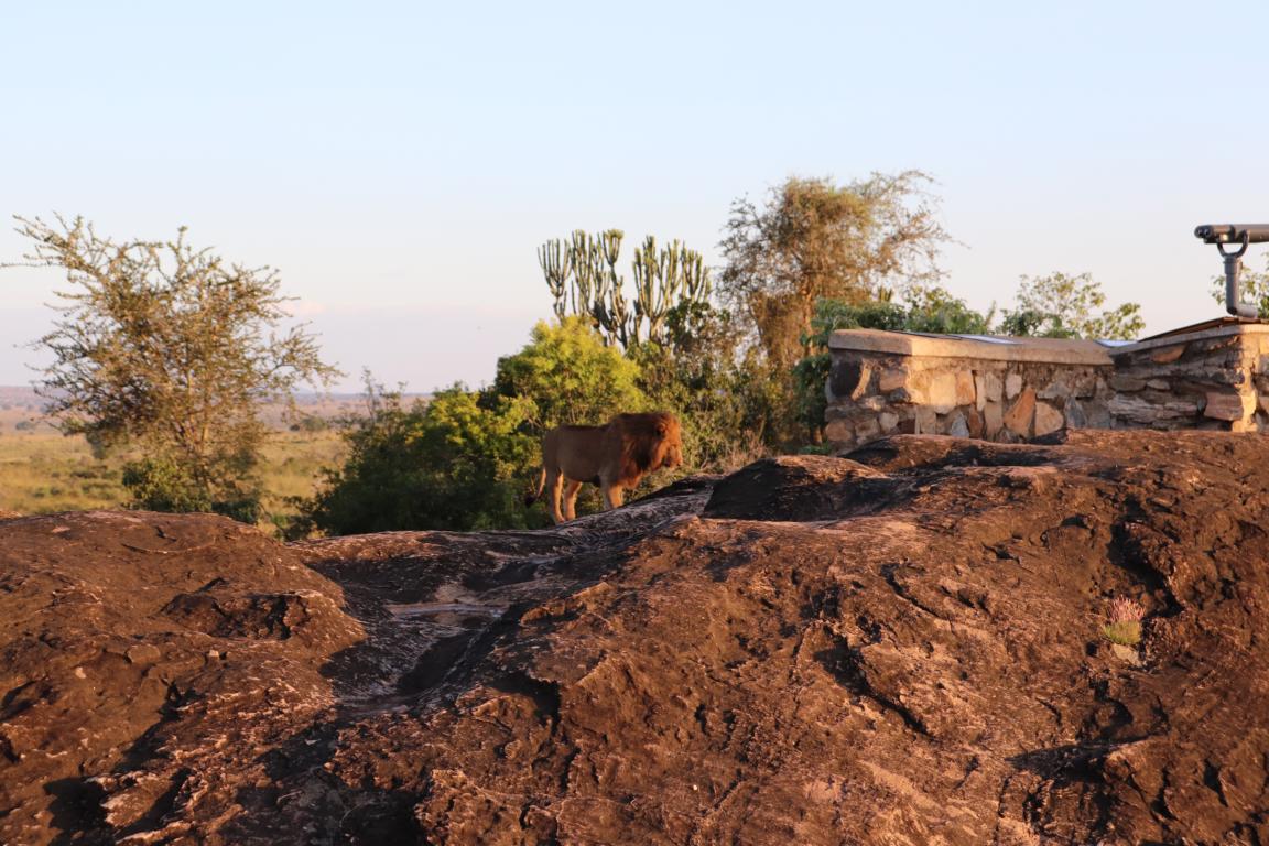 Kidepo Valley National Park